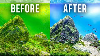 HOW TO Choose the Best Filter to Keep Your Aquarium Clean [upl. by Maier]