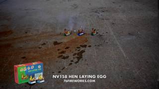 NV158 Hen Laying Egg Fireworks [upl. by Aniale]