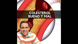 🔴 ¿COLESTEROL BUENO Y MALO✍🏼❤️ [upl. by Beckett684]