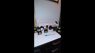 My Fountain Pen Ink Collection  ChristinaPlans [upl. by Hakim]