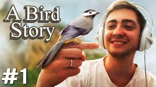 A BIRD STORY  MEU NOVO AMIGUINHO  Parte 1 [upl. by Francine]