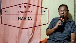 Narda Kamikazee cover song [upl. by Barnabe988]