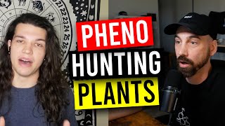 The Best Way To Pheno Hunt With Plant Restrictions Garden Talk 138 [upl. by Aihsotan]