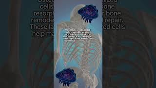 Cell of the Day Osteoclast bonehealth cellbiology [upl. by Eimam]