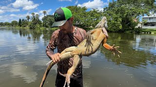 Reptiles Invasores Cazados Y Cocinados P2 [upl. by Gulick]