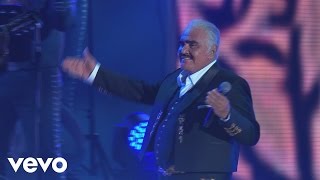 Vicente Fernández  El Rey En VivoUn Azteca en el Azteca [upl. by Kingsbury349]