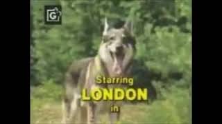 THE LITTLEST HOBO THEME WITH LYRICS MAYBE TOMORROW BY TERRY BUSH [upl. by Atined928]