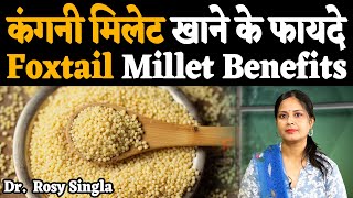 कंगनी मिलेट खाने के फायदे  फॉक्‍सटेल मिलेट  foxtail millet Benifits  foxtail millet ke fayde [upl. by Enimasaj67]