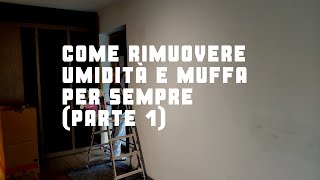 Come rimuovere umidità e muffa per sempre Parte 1 [upl. by Berna]