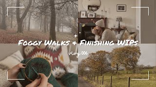 Vlog 006 Foggy Autumn Walks Darning a Sweater amp Embroidering my Scarf  Knitting Vlog [upl. by Bortman994]