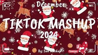 Tiktok Mashup December 🎅2024🎅 Not Clean [upl. by Eitsud]