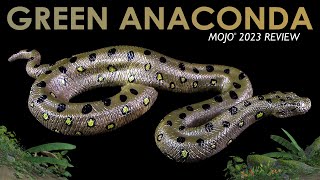 Mojo ® Green Anaconda  Grosse Anakonda  2023  Review Deutsch  German [upl. by Dorwin45]