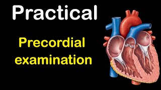 Cardiology Precordial examination [upl. by Gio]