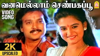 Vanamellam Shenbagapoo  2K Video Song வனமெல்லாம் செண்பகப்பூ  Nadodi Pattukkaran  Karthik Mohini [upl. by Llenaj436]