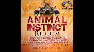 Animal Instinct Riddim Instrumental  Techniques Records  January 2013 [upl. by Saltzman]