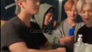 Minsung jealous sweetand cute moments part 5 [upl. by Conlen]