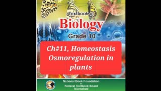 Biology 10th Ch11 Homeostasis Osmotic adjustmentOsmoregulation in plants [upl. by Enirehs]