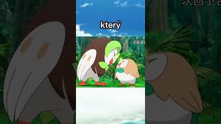 Zajímavosti o Pokémon Rowlet Dartrix a Decidueye  Pokémon CZSK [upl. by Ruford612]