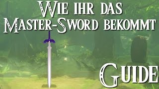 Wie ihr das MasterSword bekommt  Verlorene Wälder Guide  ZELDA BREATH OF THE WILD [upl. by Corydon]