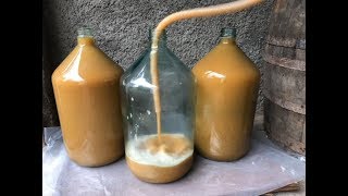 Wine making with oldest traditional method  Homemade Georgian Wine [upl. by Haleemak663]