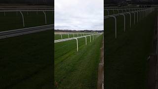 Musselburgh Racecourse Horse Racing shorts musselburgh racecourse horseracing sports flatrace [upl. by Eduam]