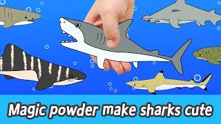 EN Magic powder make sharks cute animals names for kids coco animal animation collectaㅣCoCosToy [upl. by Aernda]