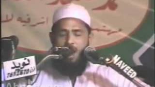 Qaseeda Hassan Bin Sabit By Anas Younus Complete [upl. by Anirok]