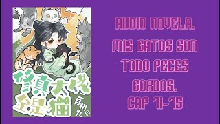 audio Novela mis gatos son todos peces gordos 7175 [upl. by Narmis290]