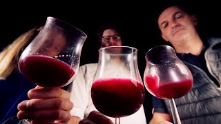 Preview WineMasters France Beaujolais S5E2 [upl. by Aisan]