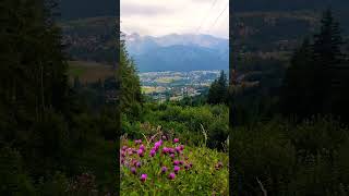 W Tatry chodźcie z Nami ❤️ gubałówka zakopane górale music poland shortvideo mountains góry [upl. by Nawat]