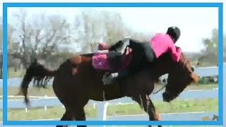 Paarden bloopers  Horse fails [upl. by Lytsirk241]