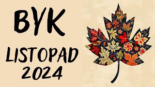 BYK ♉ LISTOPAD 2024 ♉ prognoza Tarota 🍀KTOŚ CIĘ ROZCZAROWAŁ OKAŻ CIERPLIWOŚĆ WSZYSTKO SIĘ UŁOŻY🍀 [upl. by Amalburga217]