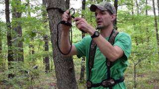 How to attach your harness to the tree [upl. by Harbison]