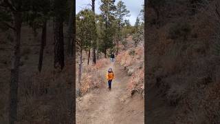 Ruidoso New Mexico 🇺🇸 USA RudiosoNewMexico Hiking [upl. by Ahsiek]