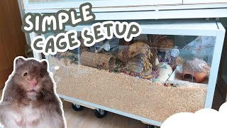 Setting up a Hamster Cage for Beginners [upl. by Cirtemed548]