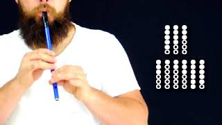 Vulgaris Magistralis  Tin Whistle Tutorial [upl. by Annuhsal]