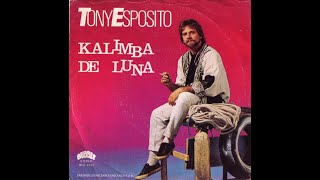 Tony Esposito  Kalimba de luna 1995 HQ  AAC [upl. by Meisel291]