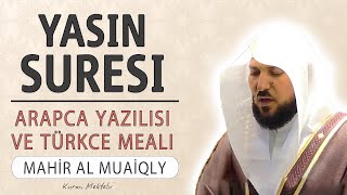 Yasin suresi anlamı dinle Mahir al Muaiqly Yasin suresi arapça yazılışı okunuşu ve meali [upl. by Auqcinahs46]