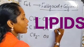 Lipids in Biomolecule Plus one zoologystudents chemistry students exam plus1 education [upl. by Ariaek]