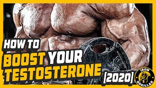 How to 💪Boost Your Testosterone💪 in 2020 ✅Hint DAspartic Acid [upl. by Yelnik374]