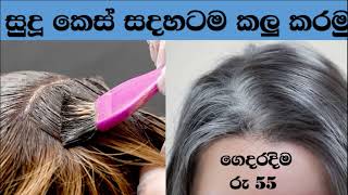 සුදු කෙස් පටස් ගාල ඩයි කරමු home made hair dye in 30 minutes [upl. by Nnaid225]