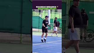 BERANKIS BACKHAND VOLLEY PRACTICE tennis shorts [upl. by Leahicm317]