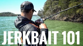 Jerkbait Tips That You NEED To Know [upl. by Amej]