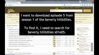 How To Download Torrents With Tixati Torrent Client [upl. by Ann659]