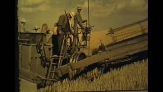 HorseDrawn Combine 1938 [upl. by Etiragram]