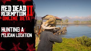 Hunting a pelican location Braithwaite Manor  Red Dead Redemption 2 Online [upl. by Moth947]