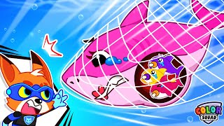 Rescue Mommy Shark and Baby Shark  More  Shark Family  Mommy Shark Stories  Color Squad Rescue [upl. by Osi]