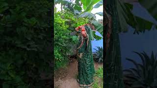 Viral jatni video RAJASTHANI culture jatni Status video [upl. by Moia]