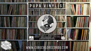 Pupa Vinylist  Rub A Dub From The Yard Mixtape 100 Vinyl [upl. by Eelahc]