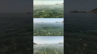 CORFU Agios Georgios Pagon  see long Corfuvideos on my channel corfubeaches agiosgeorgios [upl. by Llehsyt439]